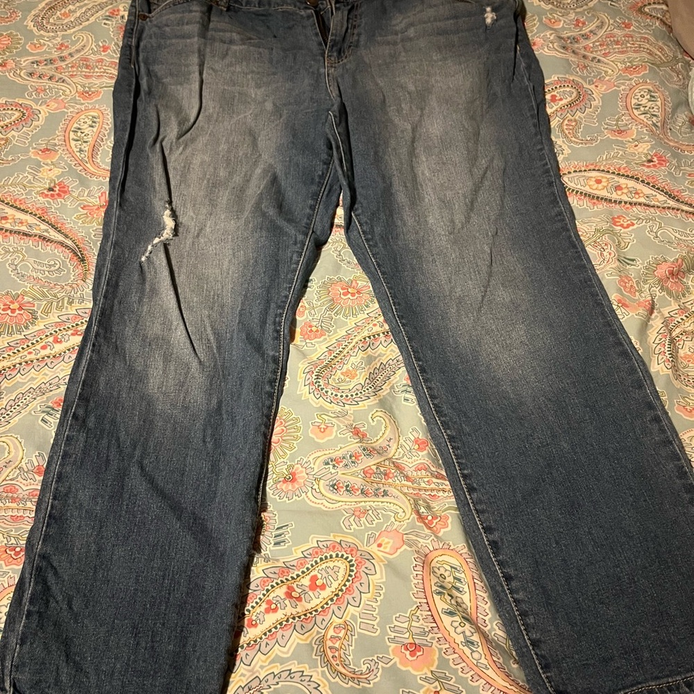 Artisan Brand Blue Denim Jeans Size 16